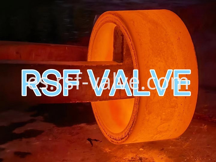 Foring valve body_RSF VALVE